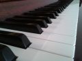 Louise Turnbull Piano Tuition